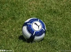 乐玩体育,资讯,lewan乐玩体育,lewan乐玩体育,乐玩体育在线,乐玩体育官网,乐玩体育平台入口