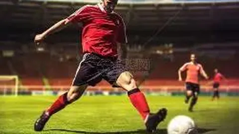 lewan乐玩体育 资讯 135830 xgp