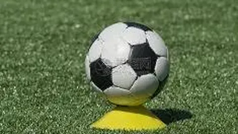 lewan乐玩体育 产品 101216 fwv