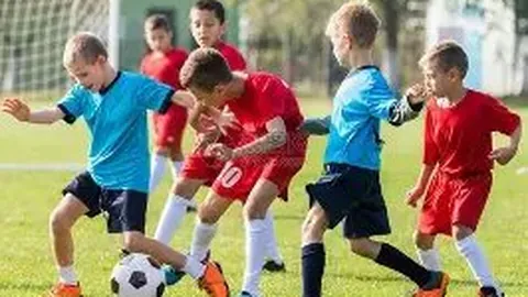 lewan乐玩体育 产品 103838 h1p