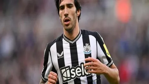 奥运金牌英雄再出发：新征程的挑战之旅